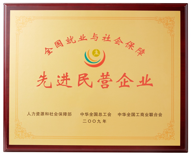 全國就業與社會保障先進民營企業（2009）
