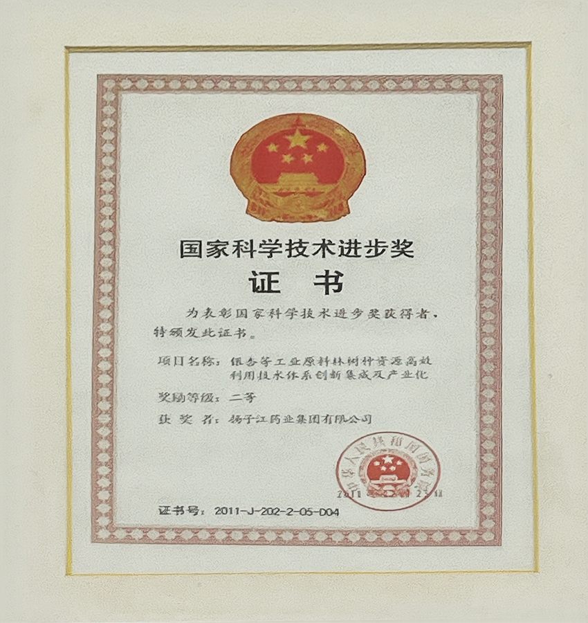 國家科學(xué)技術(shù)進步獎（2011）