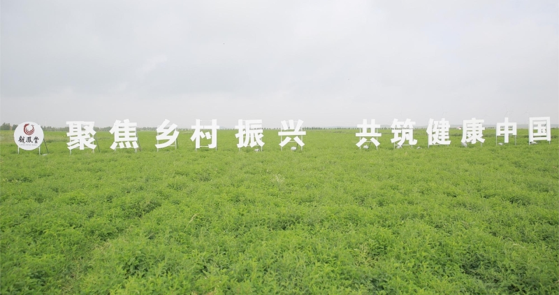 圖片7